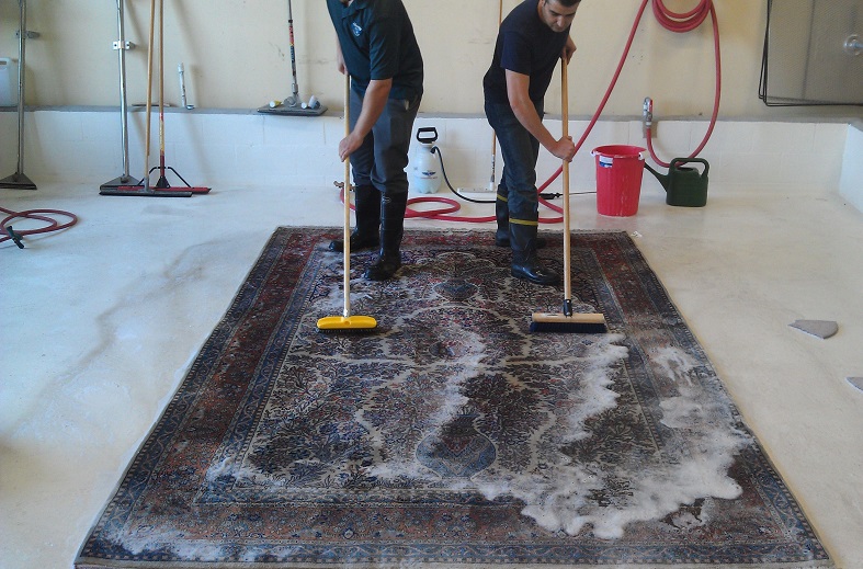 Area Rug Cleaning